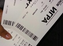 Билеты "Игра"
