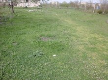 6 sot torpaq sahəsi, Quba r.