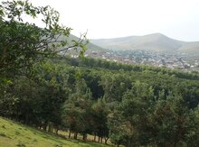 12 sot torpaq sahəsi, Gəncə ş.