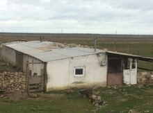 12 sot torpaq sahəsi, Siyəzən r.