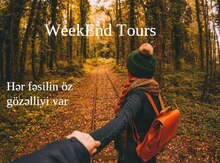 Ölkədaxili Turlar