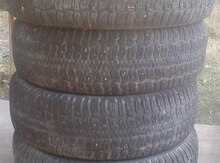 Şinlər "Kama"