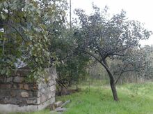 Bağ evi, Albalı qəs.