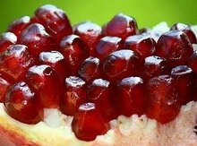 Göyçay Nar Festifal Turu
