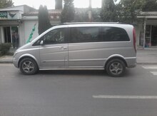 Mercedes Viano, 2006 il