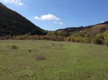 1600 sot torpaq sahəsi, Dilman kəndi