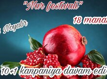 Nar Festivalı turu