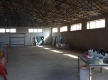 Həyət evi, Maştağa qəs.