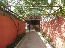 Həyət evi kirayə verilir, Yasamal r.