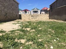 2 sot torpaq sahəsi, Zığ qəs.