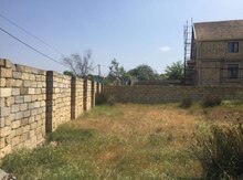 7 sot torpaq sahəsi, Novxanı bağları