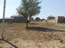 6 sot torpaq sahəsi, Abşeron r.