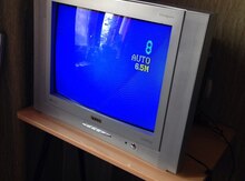 Televizor