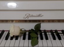 Pianino dərsləri təklif olunur