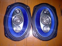 "Pioneer" kalonka