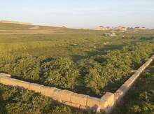 4 sot torpaq sahəsi, Mehdiabad qəs.