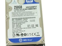 Hard Disk 250GB