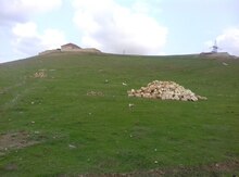 10 sot torpaq sahəsi, Qobu qəs.