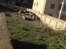 12 sot torpaq sahəsi, Badamdar qəs.