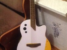 Akustik gitara