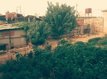 3 sot torpaq sahəsi, Binəqədi qəs.