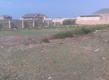 12 sot torpaq sahəsi, Nardaran qəs.