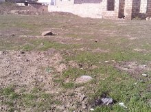 10 sot torpaq sahəsi, Masazır qəs.