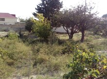 12 sot torpaq sahəsi, Abşeron r.