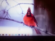 Noutbuk "Fujitsu Lifebook AH532"