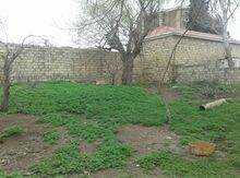 6 sot torpaq sahəsi, Abşeron r.