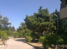 10 sot torpaq sahəsi, Mərdəkan qəs.