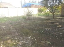 9 sot torpaq sahəsi, Beylaqan ş.