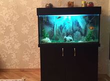 Akvarium