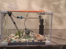 Akvarium