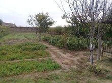 16 sot torpaq sahəsi, Maştağa qəs.