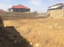 2.5 sot torpaq sahəsi, Məhəmmədi qəs.
