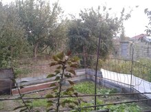 3 sot torpaq sahəsi, Binə qəs.
