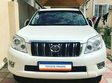Toyota Prado, 2010 il