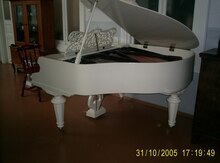 "Carl-Rönisch" Piano və Royal