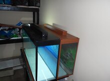 Akvarium
