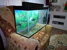 Akvarium