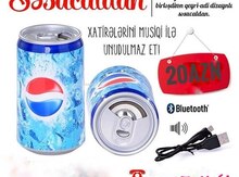 Səs ucaldıcı