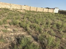 5 sot torpaq sahəsi, Hövsan qəs.