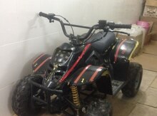 Kvadrosikl ATV, 2015 il