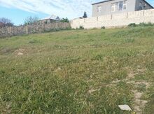 8 sot torpaq sahəsi, Novxanı qəs.