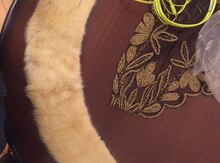 Şərf pisets