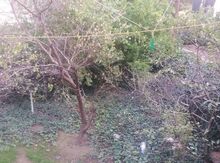 2-otaqlı mənzil, Qaraçuxur qəs, 56 m²