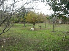 Bağ evi, Xudat r.