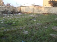 2.7 sot torpaq sahəsi, Xalqlar Dostluğu m.