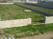 12 sot torpaq sahəsi, Zirə bağları